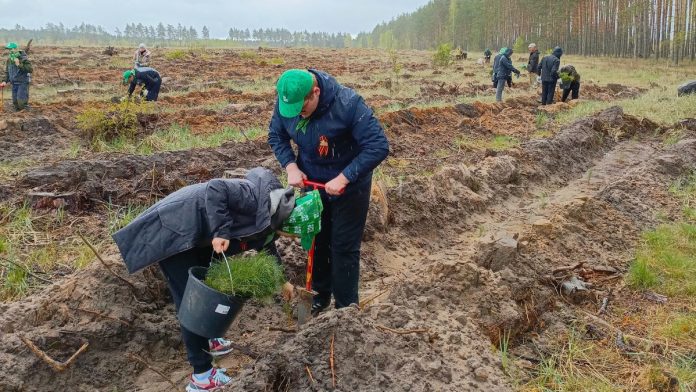 Сад памяти. Шилово. 1.5.25