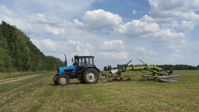 polevye-raboty.-rybnoe.-29.05.25_5