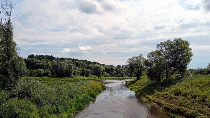 Погода лето река. Архив ИД Пресса. 19.7.25