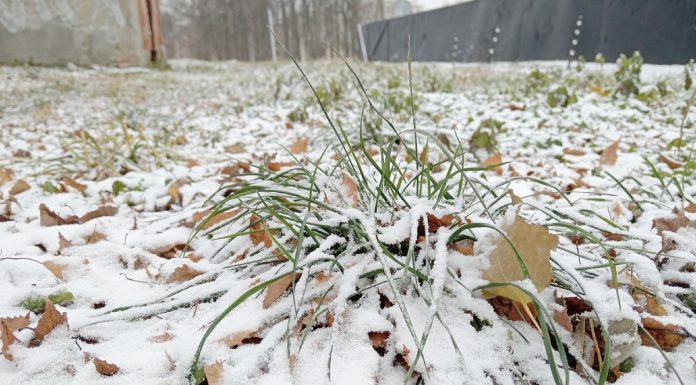 Небольшой снег и до -19°С ночью обещают рязанцам 2 января