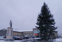 В Шилове установили главную новогоднюю елку района