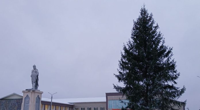 В Шилове установили главную новогоднюю елку района