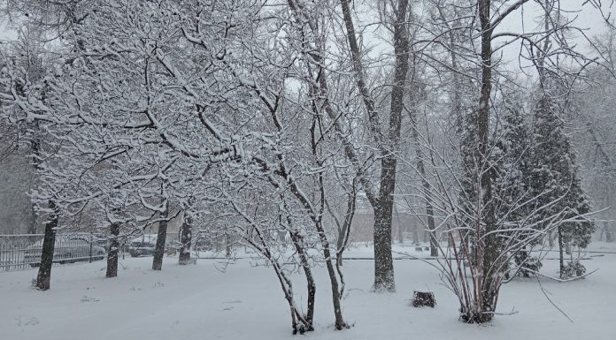 Небольшое похолодание в субботу обещают синоптики рязанцам