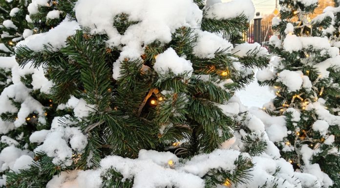 6 января в Рязанской области температура воздуха опустится до 15°С