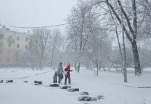 Губернатор Павел Малков: «Коммунальные и дорожные службы работают в усиленном режиме»