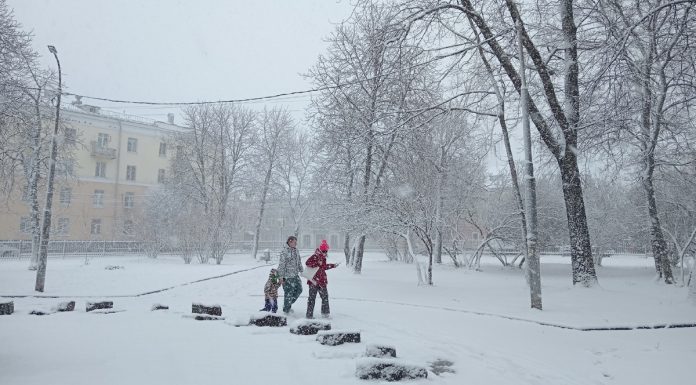 Губернатор Павел Малков: «Коммунальные и дорожные службы работают в усиленном режиме»