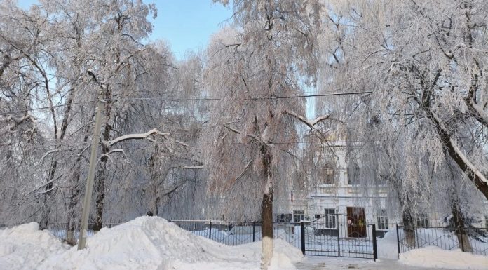 8 февраля в Рязанской области температура воздуха понизится до -15°С