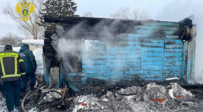 На пожаре в Желудеве погибла семейная пара и двое детей