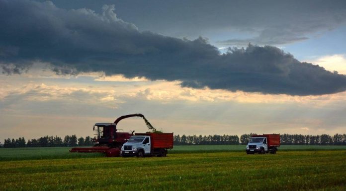 Рязанские аграрии скосили 57 тысяч гектаров трав