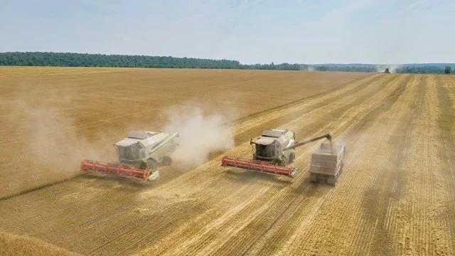 Рязанские аграрии собрали миллион тонн зерна