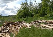 Свалку на площади в два гектара обнаружили в Шиловском районе