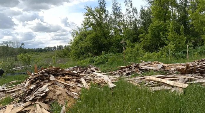 Свалку на площади в два гектара обнаружили в Шиловском районе