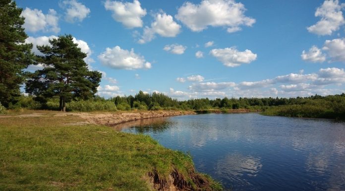 До нуля может похолодать в Рязанской области в ночь на понедельник