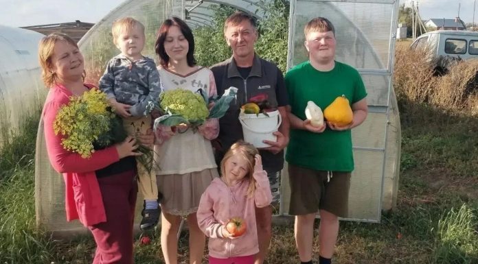 Павел Малков: Жители Рязанской области заключили более 1700 социальных контрактов с начала года