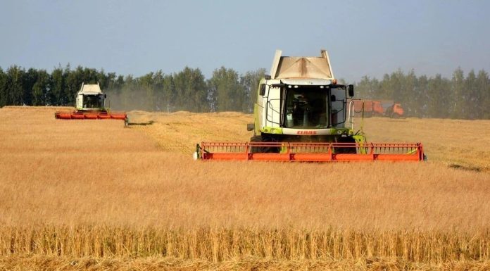 Губернатор Павел Малков поздравил рязанских аграриев с профессиональным праздником