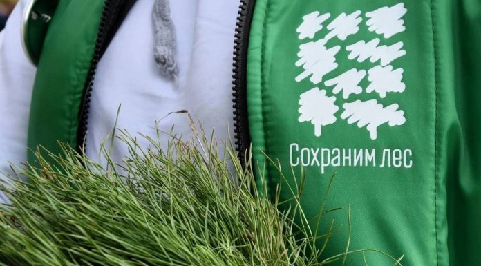 Губернатор Павел Малков: В Рязанской области продолжается Всероссийская акция «Сохраним лес»